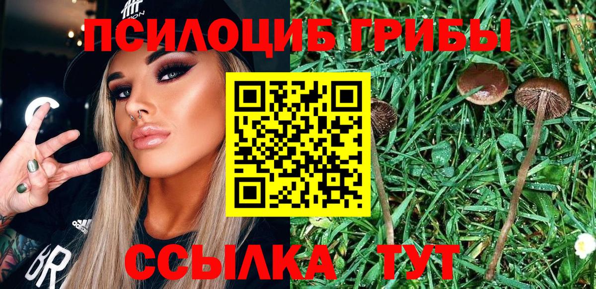 купить наркоту  Галлюциногенные грибы ЛСД  Вход с VPN  Галлюциногенные грибы Psilocybe  Славгород 