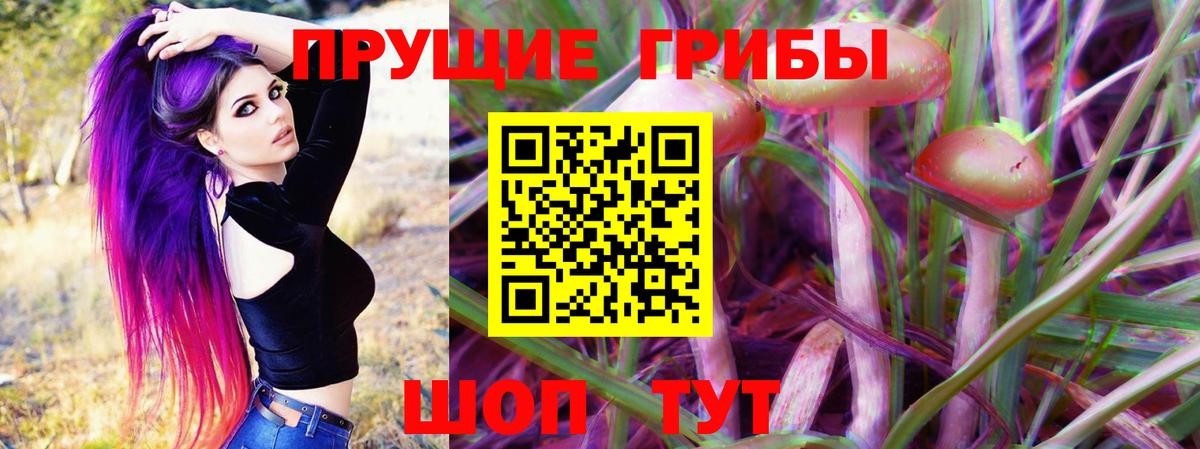 Галлюциногенные грибы MAGIC MUSHROOMS Славгород